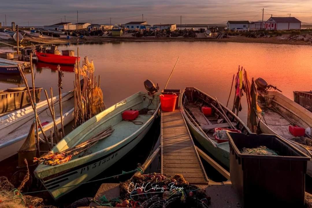 Zen Lägenhet Gruissan Exteriör bild
