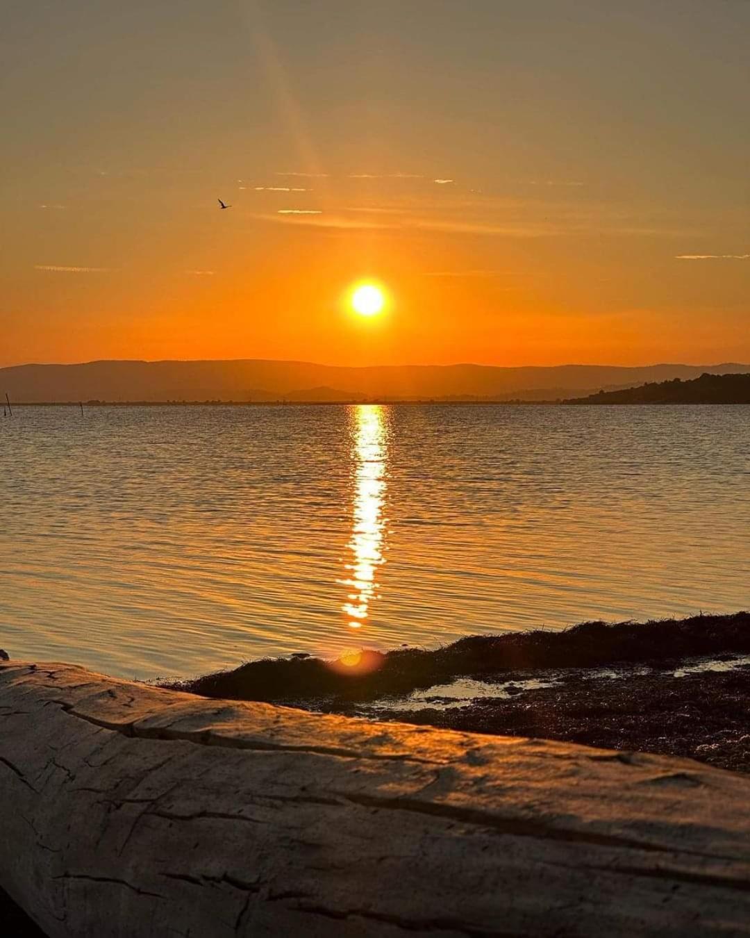 Zen Lägenhet Gruissan Exteriör bild